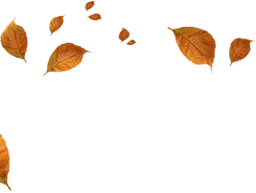 Decorative Leaves